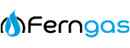 Logo Ferngas Service & Management GmbH & Co. KG in Erfurt